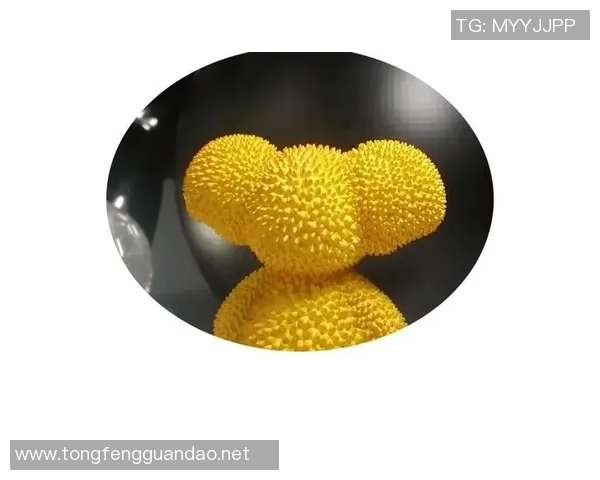 挑战你的眼力与记忆力 猜一猜这些足球球星独特的头型吧