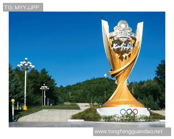 足球皇帝之称的传奇球星：从绿茵场上的荣耀到全球影响力的蜕变